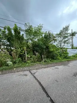 Dijual tanah di jalan utama Jl Gn Payung Kutuh 