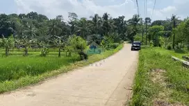 Di Jual Tanah Industri di Kemuning Tunjung Teja Serang Banten