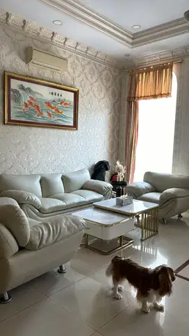 RUMAH PIK 1 DIJUAL CLUSTER WALET UK 7X25 2.5 LANTAI POSISI BAGUS MURAH
