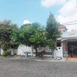 Dijual Rumah Di Araya Malang