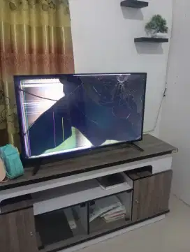 TV LG kondisi hidup
