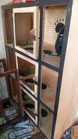 Kandang kucing kayu