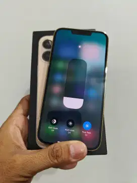IPHONE 13 PRO GOLD 256GB REGIST BEA CUKAI
