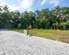 Tanah Murah di Pengadilan Agama Wates, 3 Menit ke Pusat Kota