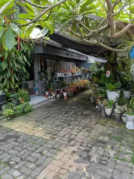 Dijual Cepat Rumah Hook Cocok Tempat Usaha Di Bintaro Jakarta Selatan