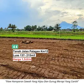 1,9 Juta Per Meter, Tanah Pinggir Sawah Dekat Jalan Palagan