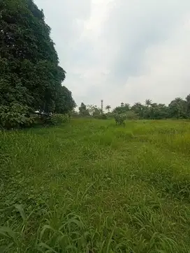 Jual tanah di tepi jalan raya utama di Ciangsana gunung putri Bogor