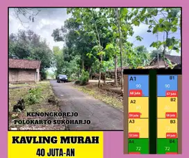 DIJUAL TANAH KAVLING HARGA 40 JUTAAN DI SUKOHARJO