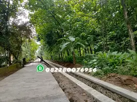 TANAH PEKARANGAN DEKAT PASAR GROGOL SAWOO