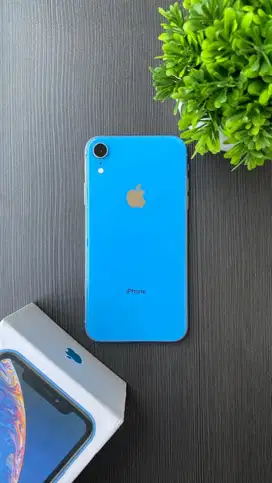 IPHONE XR 64GB INTER MULUS