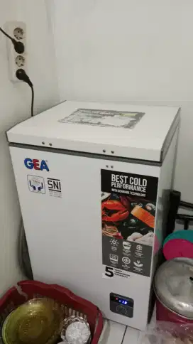 Freezer RSA cf110