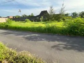 5 MENIT TVRI JL MAGELANG: Tanah Dalam Ringroad Area Trihanggo Jogja