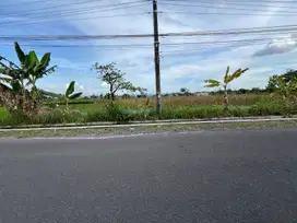 3 JUTAAN: Jl Tajem Maguwo Jogja, SHM P Prospek Usaha