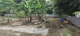 Tanah Lahan 1000m² Bonus Bangunan Dekat Pemda Cibinong Bogor