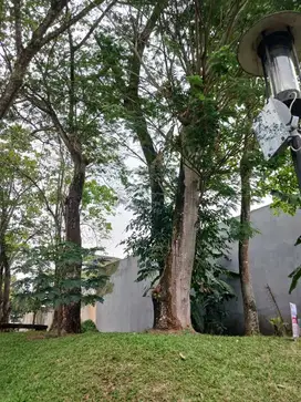 turun harga kavling di taman tirta golf bsd city hanya 9jt permeter