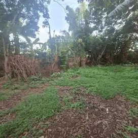 Dijual Kavling Strategis Harga Menarik Di Pisangan Ciputat