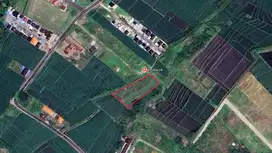 Freehold - Tranquil Land for Sale Near Kedungu Beach