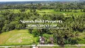 Jual Tanah Murah Luas 5700 m2 Lingkungan Villa di Pejeng Ubud