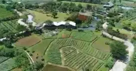 Investasi Berjangka, Dijual Tanah Bogor Ciampea Luas 6 Hectar