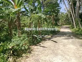 Disewakan Tanah Murah Luas 600 m2 di Lodtunduh Ubud