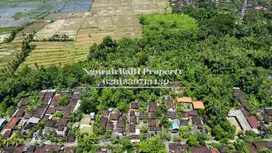 Disewakan Tanah Murah Luas 32 Are View Sungai, Sawah dan Hutan