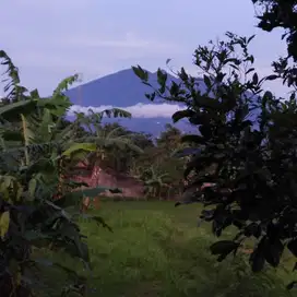 Vco - Dijual Vila Pancawati Ciawi LuasTanah 3800 Meter Sertifikat