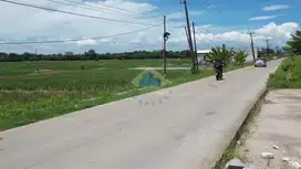 Di Jual Tanah Industri jln Kopo Maja Nyompok Serang Banten