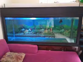 Akuarium ikan hias