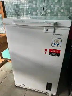 FREZEER BOX UKURAN 100L