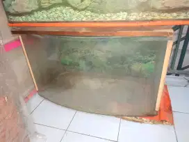 Box Aquarium Cembung