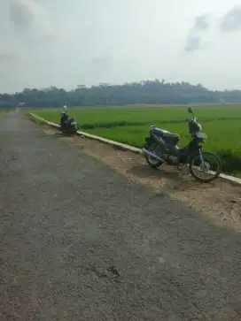 Tanah Persawahan Strategis Dijual Sampe Deal