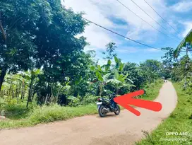 Lahan Peternakan 2600m² Sukamakmur, Jonggol Cileungsi Bogor timur