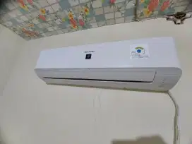 Ac sharp 1/2 pk