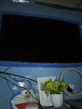 Tivi LED Polytron