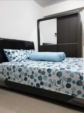 Educity Yale studio furnish dijual rugi BU