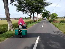 Pekarangan 530m² muka 18m jln DPU 8m , barat BRI Godok polokart skhjo