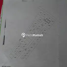 DIJUAL TANAH JALAN BUNGA RINTE (HANNY)
