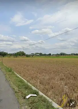 Dijual Tanah Luas 3.155 m² di Klaten – Cocok untuk investasi