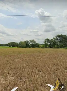 Dijual Tanah Pekarangan 3.155 m² di Klaten SHM, Zona Kuning, 2 Menit