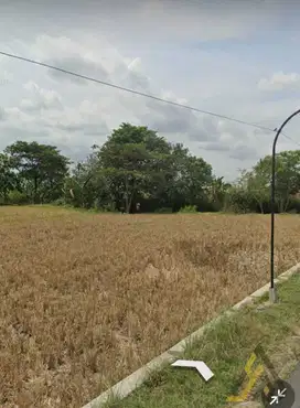 Jual Cepat! Tanah Pekarangan 3.155 m² di Klaten – SHM, Zona Kuning,