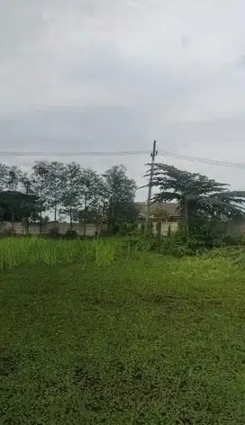 Cocok Untuk Rumah Kavling, Dijual Tanah Luas Murah Di Cerme Gresik