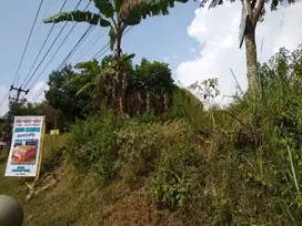 Tanah Matang,City View,Lingkungan Asri