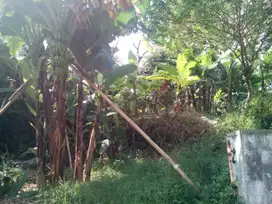 Tanah Kavling di Jln Setrasari Raya, Area Strategis Siap Bangun