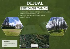 Dijual Sebidang Tanah di Desa Tosari. Dekat Gunung Bromo.