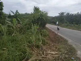 dijual tanah  murah jalur lintas sumatra