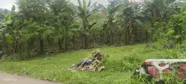 Jual tanah di sukaraja antara sentul dan sumarecon