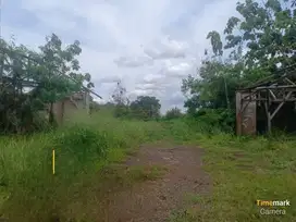Dijual Cepat Tanah Di Jl Raya Baros Serang