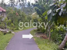TANAH PERKEBUNAN DI PANGKUNG JANGU POHSANTEN MENDOYO JEMBRANA, BALI