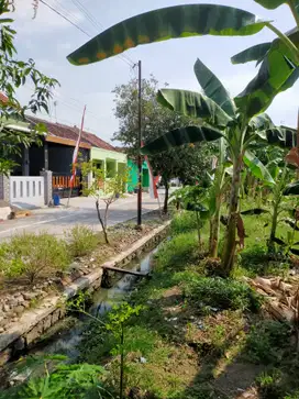 Dipasarkan 3 Tanah Kavling