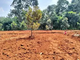 KAVLING STRATEGIS CUMA 100 METER DARI JALAN RAYA JATIREJO GUNUNGPATI